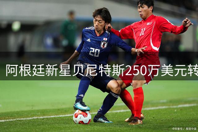 阿根廷新星贝尼特斯250万美元转会安特卫普